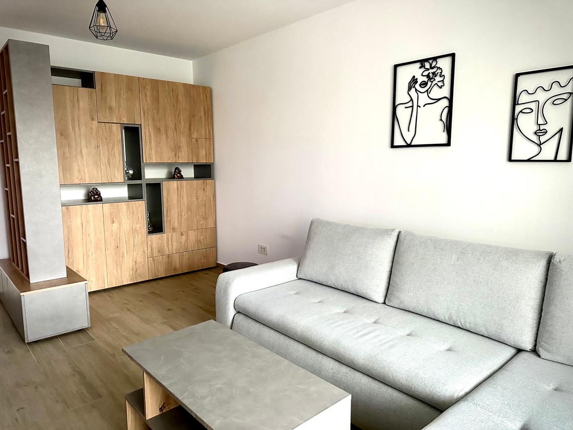 Apartment 4friendscoresibrasov C *